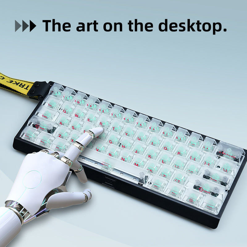 ZHENHUO Glow-Through Keycaps - Frosted Top + 4-Side Clear Design Fits 68%/ 75%/ 100%/Fullsize Layouts | Ergo Cherry Profile | PC Mechanical Keyboard Keycap Set - ZHENHUO GEAR